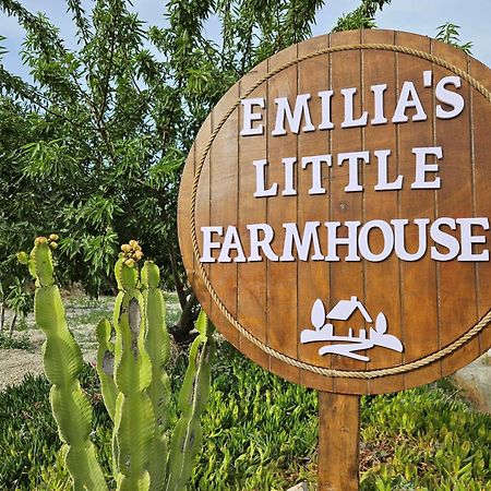 Emilia'S Little Farmhouses Agioi Anargyroi  外观 照片