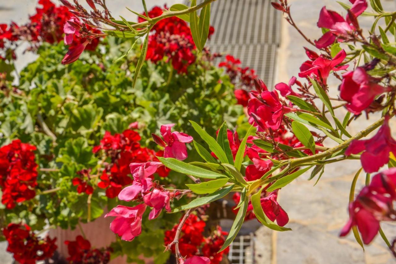Emilia'S Little Farmhouses Agioi Anargyroi  外观 照片