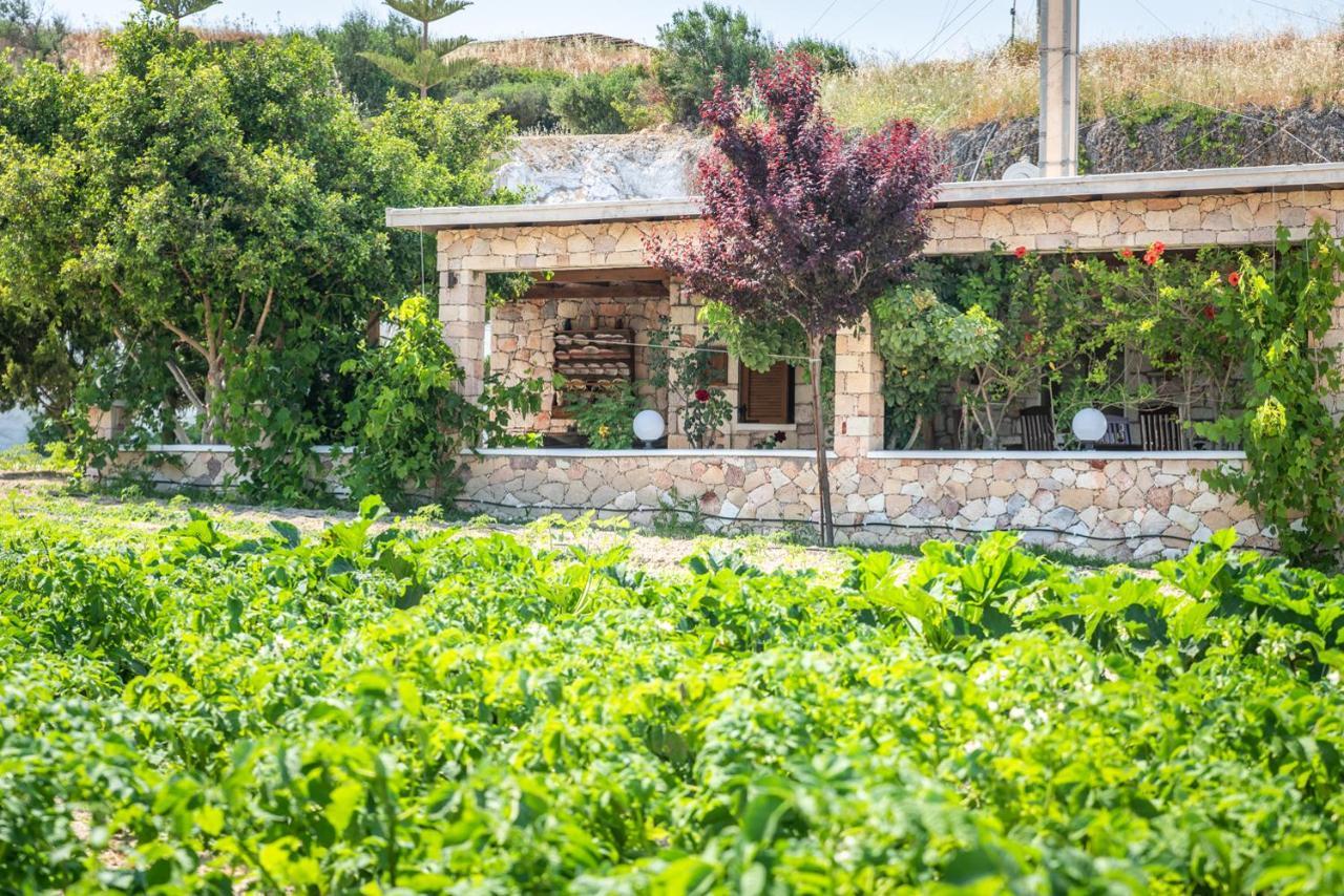 Emilia'S Little Farmhouses Agioi Anargyroi  外观 照片