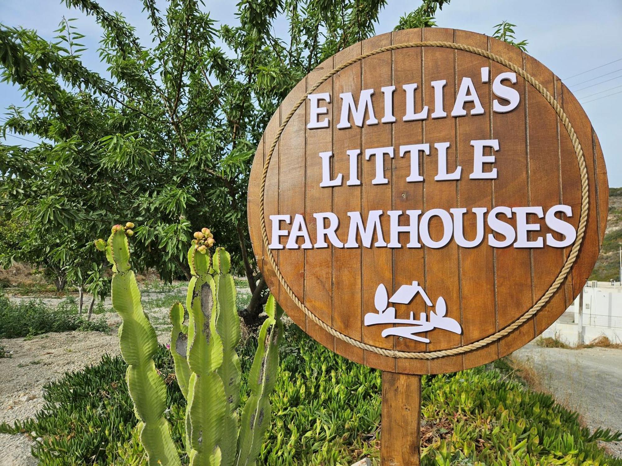 Emilia'S Little Farmhouses Agioi Anargyroi  外观 照片